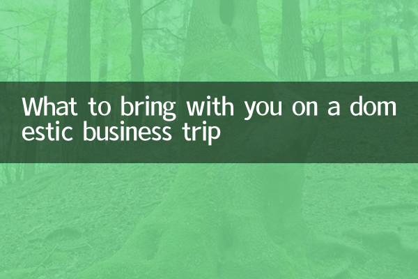 घरेलू व्यावसायिक यात्रा पर अपने साथ क्या लेकर आएँ?