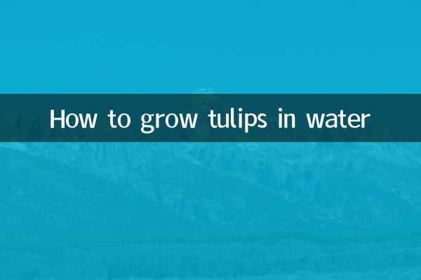 How to grow tulips in water