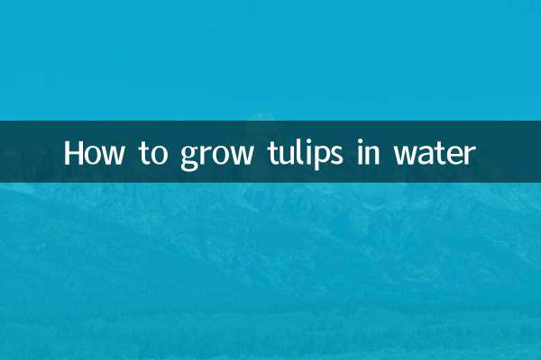 郁金香怎么水养