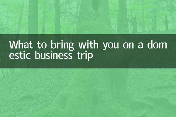 Was Sie auf einer inländischen Geschäftsreise mitbringen sollten