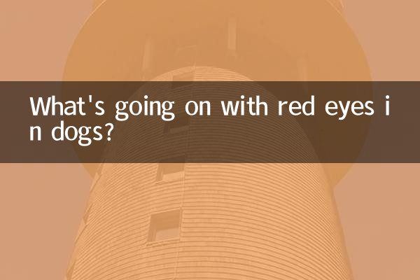 O que está acontecendo com os olhos vermelhos em cães?