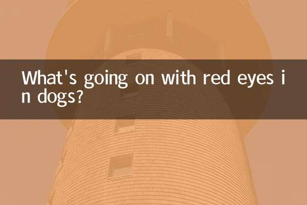 O que está acontecendo com os olhos vermelhos em cães?