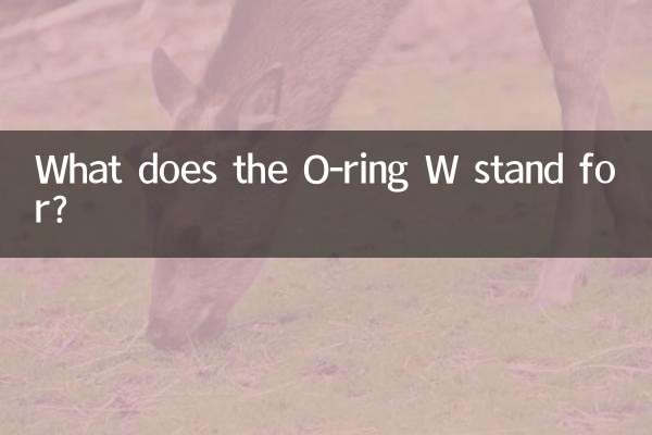 ما الذي تمثله الحلقة O؟