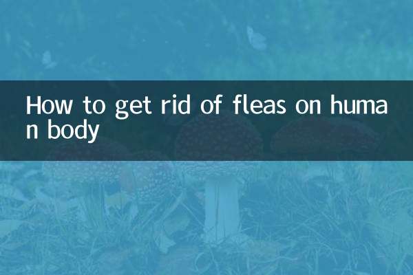 How to get rid of fleas on human body