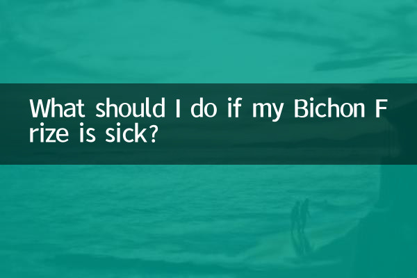 यदि मेरा बिचोन फ़्रीज़ बीमार है तो मुझे क्या करना चाहिए?