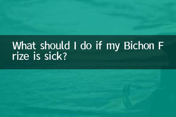 ¿Qué debo hacer si mi Bichón Frisé está enfermo?