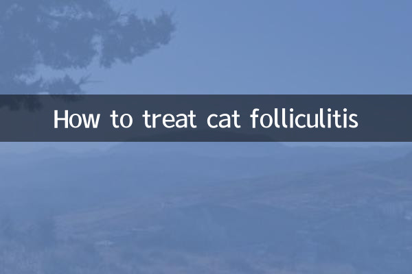 How to treat cat folliculitis