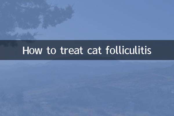 How to treat cat folliculitis