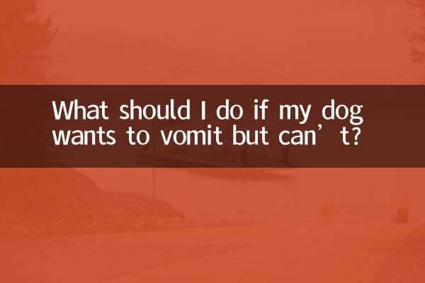 What should I do if my dog wants to vomit but can’t?