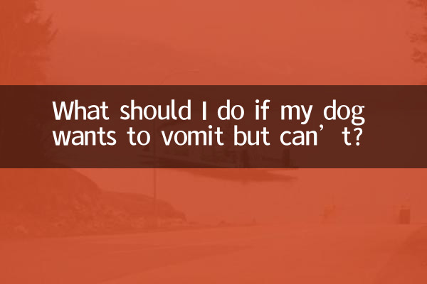What should I do if my dog wants to vomit but can’t?