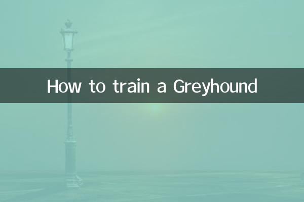 ग्रेहाउंड को कैसे प्रशिक्षित करें