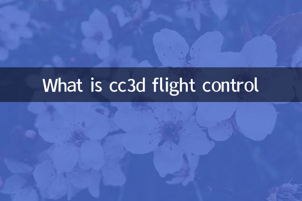 What is cc3d flight control
