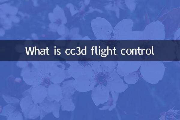 What is cc3d flight control
