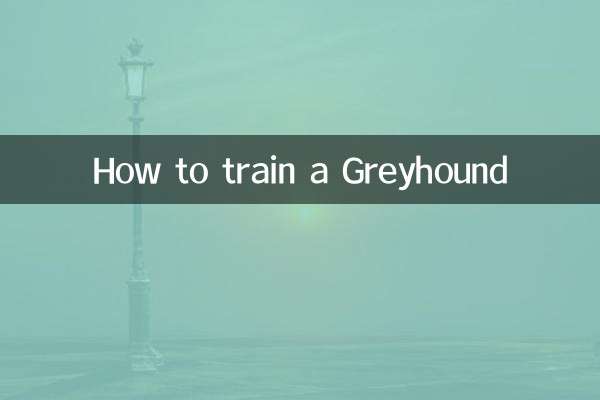 ग्रेहाउंड को कैसे प्रशिक्षित करें