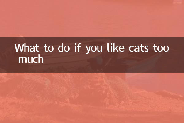 What to do if you like cats too much