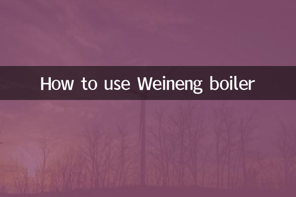 How to use Weineng boiler