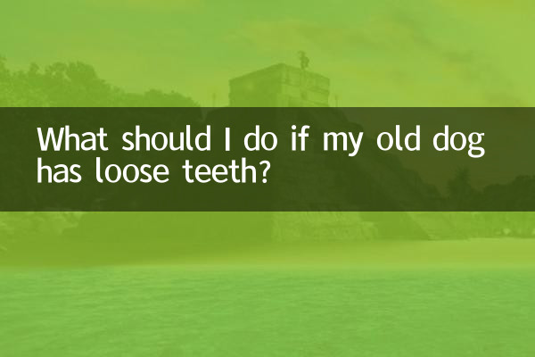 What should I do if my old dog has loose teeth?