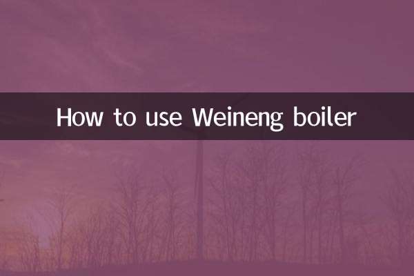 How to use Weineng boiler