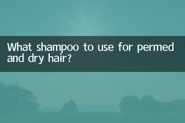 পার্মড এবং শুষ্ক চুলের জন্য কোন শ্যাম্পু ব্যবহার করবেন?