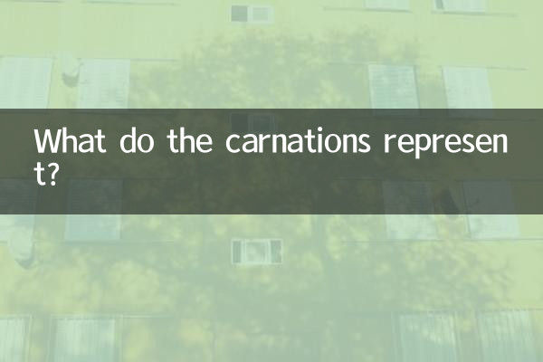 What do the carnations represent?