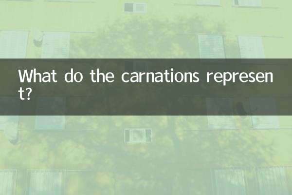 What do the carnations represent?