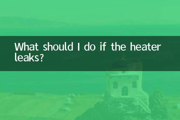 What should I do if the heater leaks?