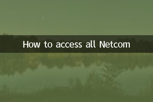 모든 Netcom에 액세스하는 방법