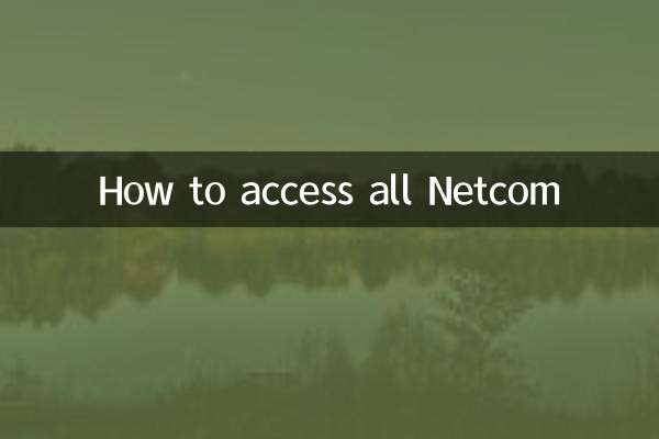 모든 Netcom에 액세스하는 방법