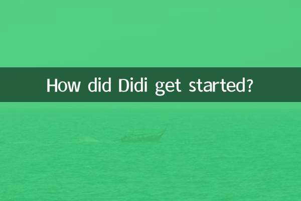 Как Диди начал свою карьеру?