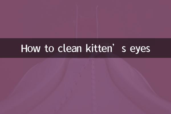 Como limpar os olhos do gatinho