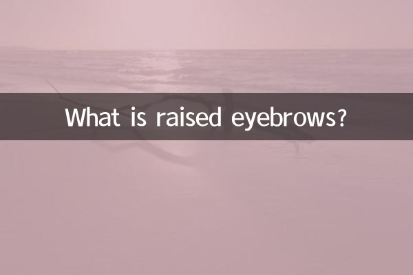 올라간 눈썹이란 무엇입니까?