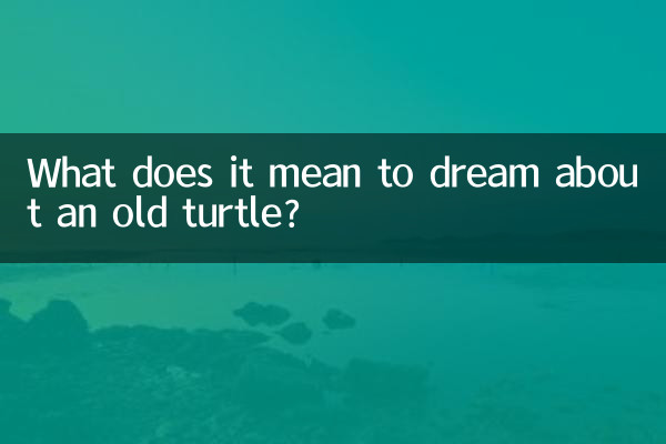 What does it mean to dream about an old turtle?