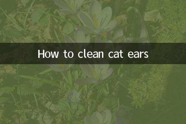 猫の耳の掃除方法