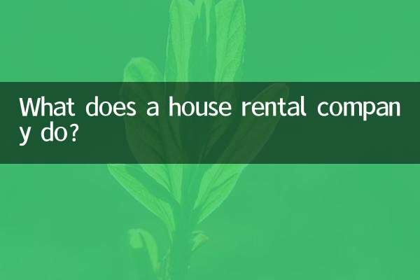 Cosa fa una società di affitto case?