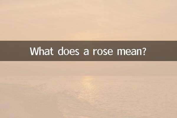 ¿Qué significa una rosa?