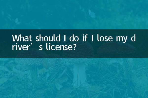 What should I do if I lose my driver’s license?