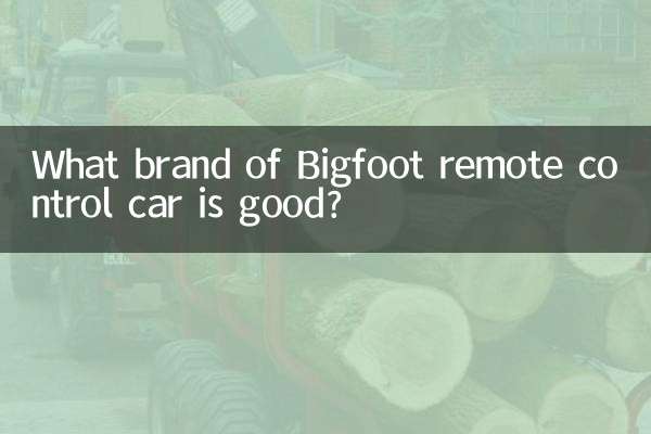 বিগফুট রিমোট কন্ট্রোল গাড়ি কোন ব্র্যান্ডের ভালো?