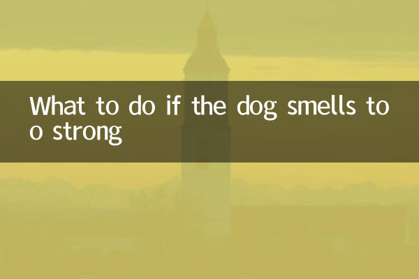 اگر سگ بوی بسیار قوی می دهد چه باید کرد؟