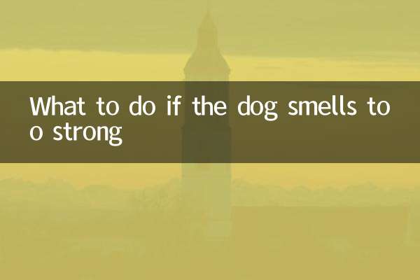 اگر سگ بوی بسیار قوی می دهد چه باید کرد؟
