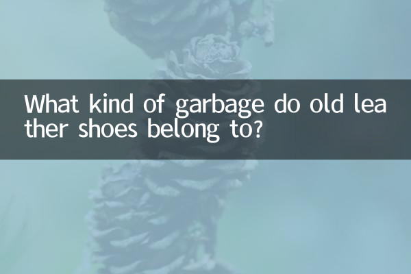 Zu welchem Müll gehören alte Lederschuhe?