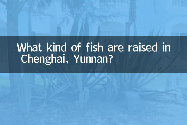 Welche Fischarten werden in Chenghai, Yunnan, gezüchtet?