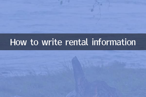 レンタル情報の書き方