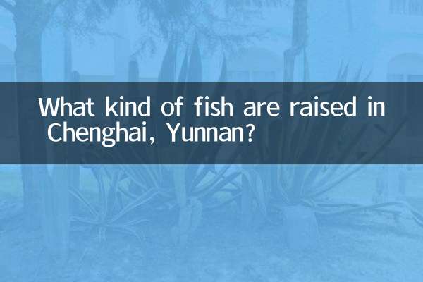 Che tipo di pesci vengono allevati a Chenghai, nello Yunnan?
