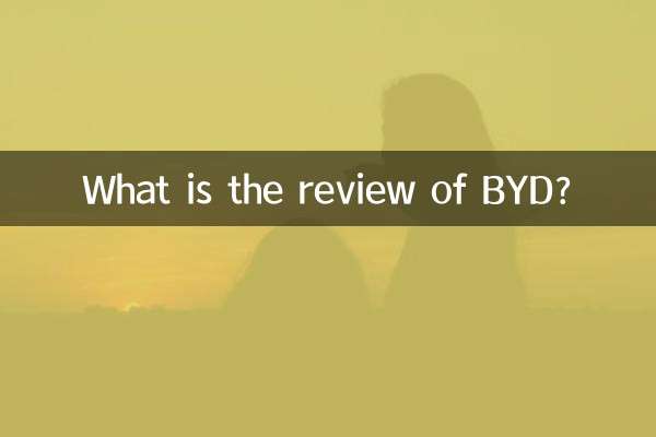 ¿Cuál es la reseña de BYD?