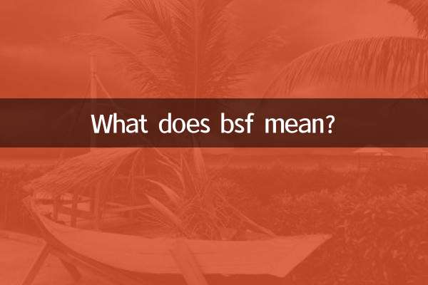 Cosa significa bsf?