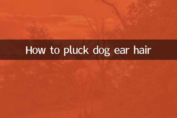 Come strappare i peli delle orecchie del cane