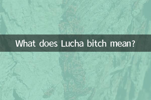 What does Lucha bitch mean?