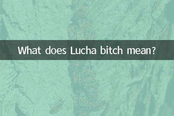 What does Lucha bitch mean?