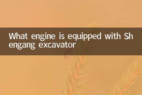 Quale motore è dotato di shengang escavatore