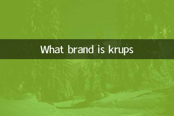 Qual é a marca Krups